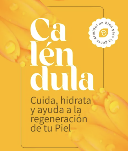 Captura de pantalla 2026-07-20 a las 9.19.17 p.m.